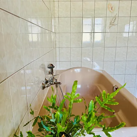 The Old School House *